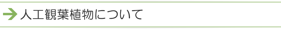 lHϗtAɂ